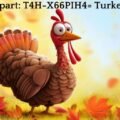 Clipart T4H-X66PIH4= Turkey